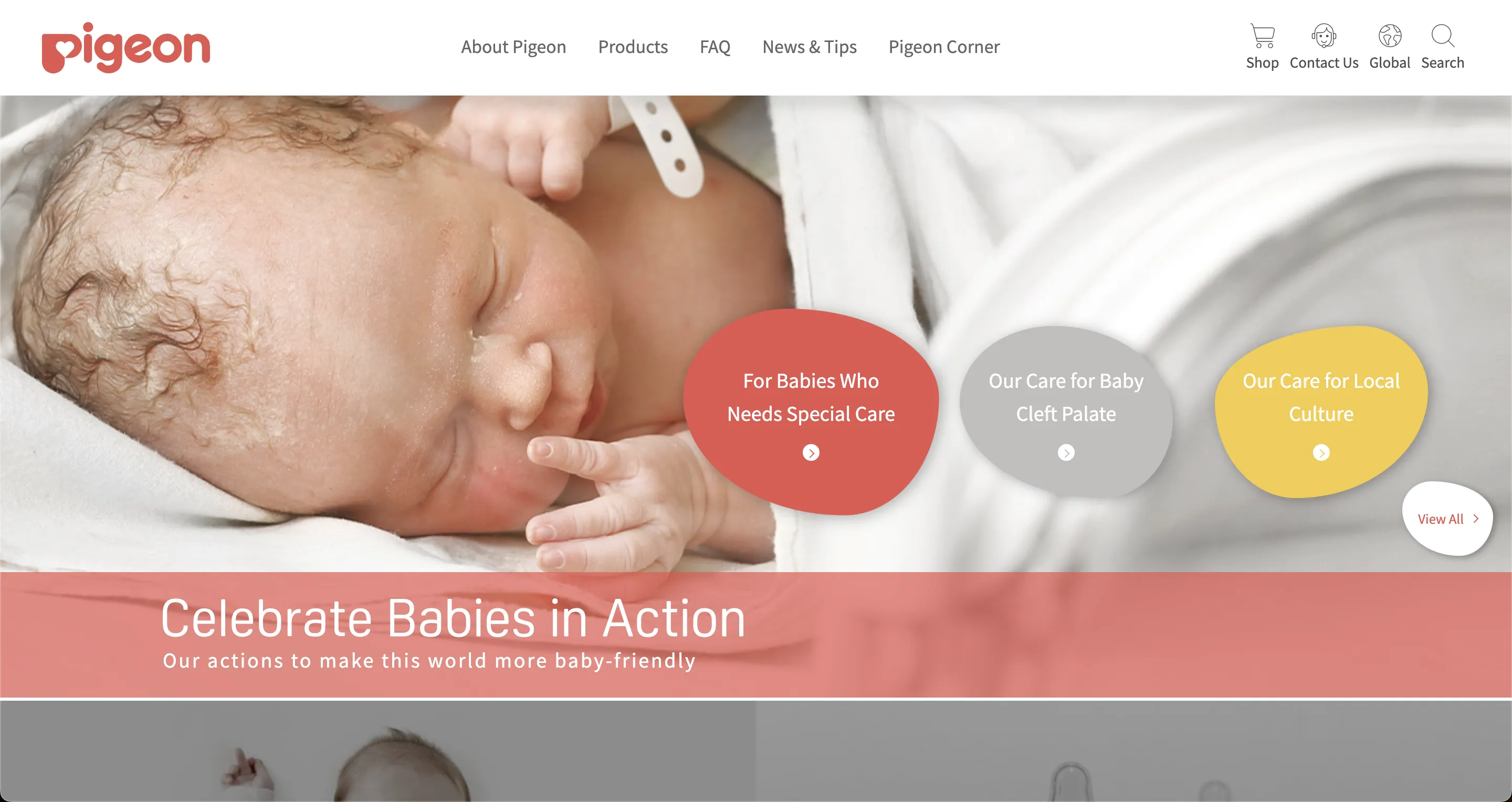 Pigeon Baby Image